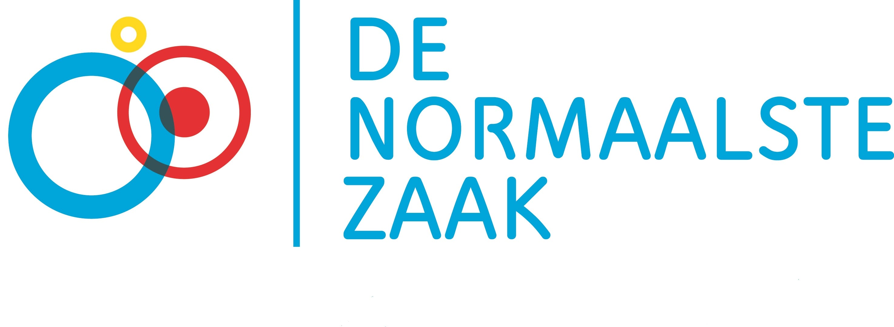 De Normaalste Zaak logo