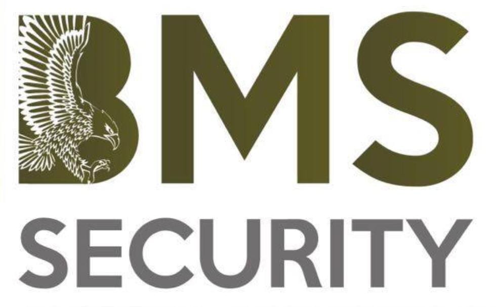 BMS Security logo
